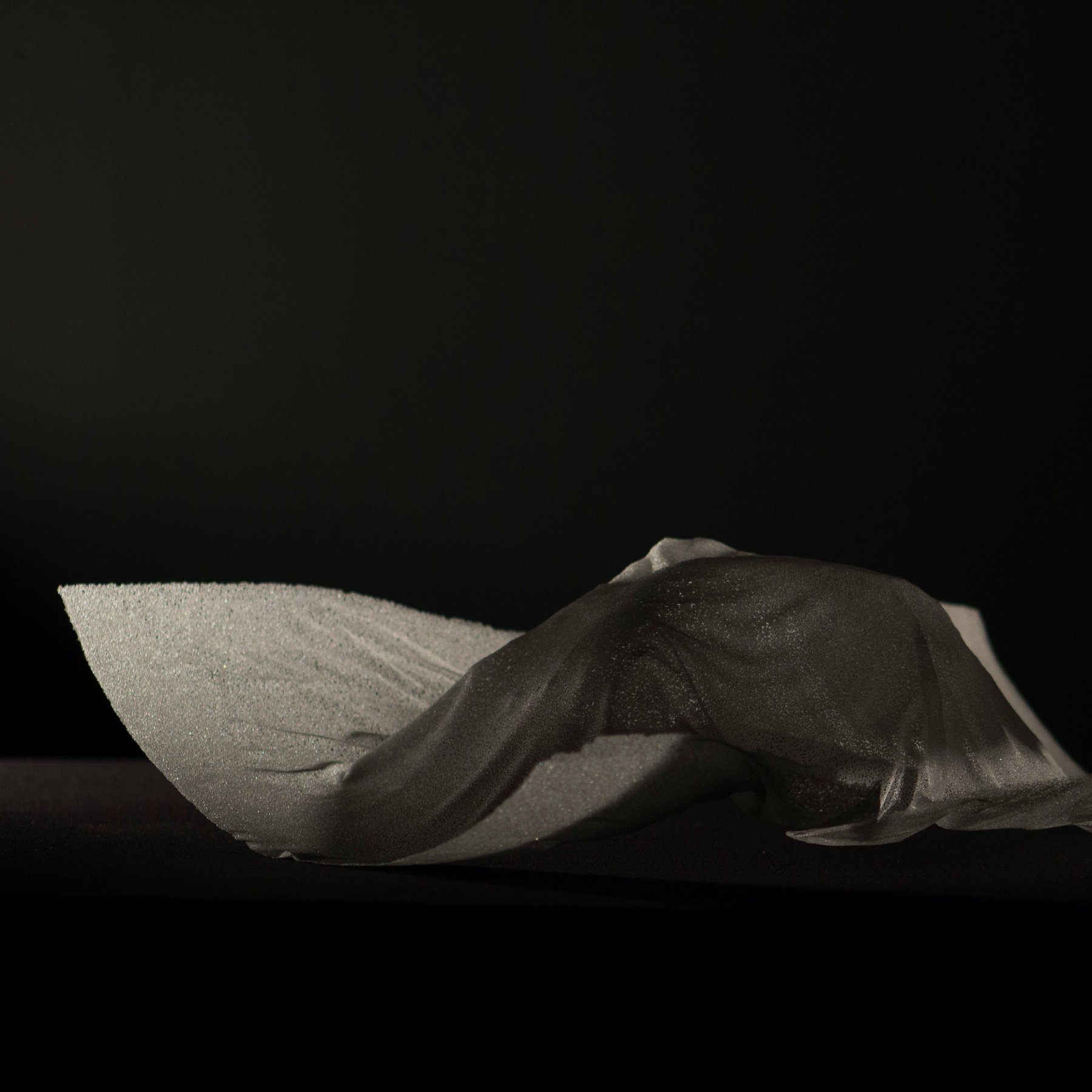 Untitled, Toyama International